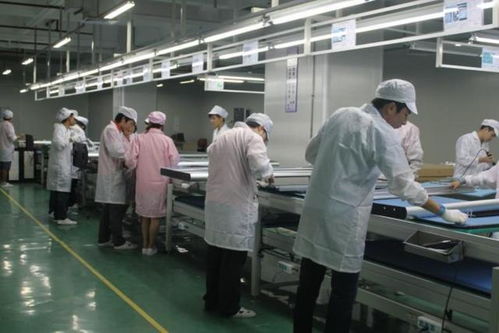 大学生出现 白菜花 ,教授喊话 先进厂不丢人 ,网友争议不断