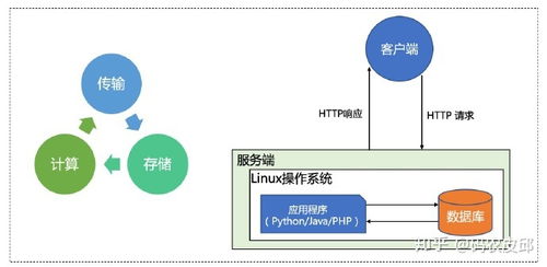 你的编程能力从什么时候开始突飞猛进